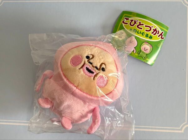 新品未開封 こびとづかんのぬいぐるみ カクレモモジリ