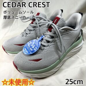 【未使用】CEDAR CREST ボリュームソール 厚底 高反発 グレー 25
