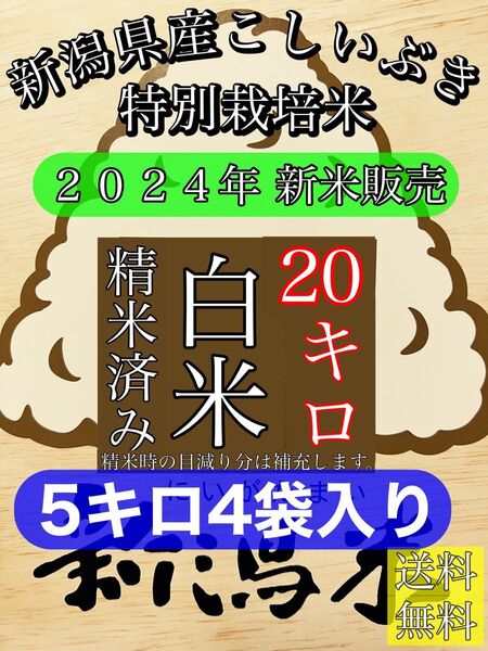 精米済み 5キロ4袋入り 【農家直送!】新潟県産こしいぶき 特別栽培米 6年産 低温冷蔵