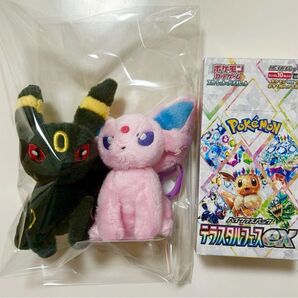 ポケモンカード テラスタルフェスex シュリンク付き 1BOX ぬいぐるみ付き