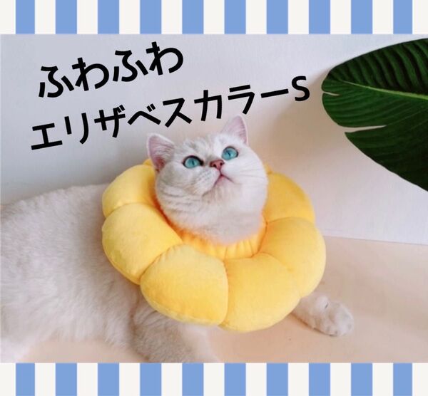 エリザベスカラー S ペット 犬 猫 術後ケア 爪 イエロー 傷舐め防止 即日発送 ふわふわ