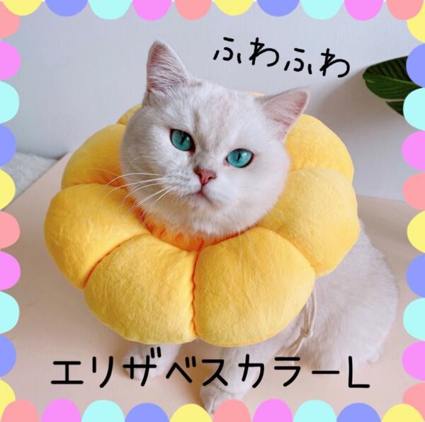 エリザベスカラー 手術 L 猫用犬用 術後ケア 爪切り 傷舐め防止 即日発送