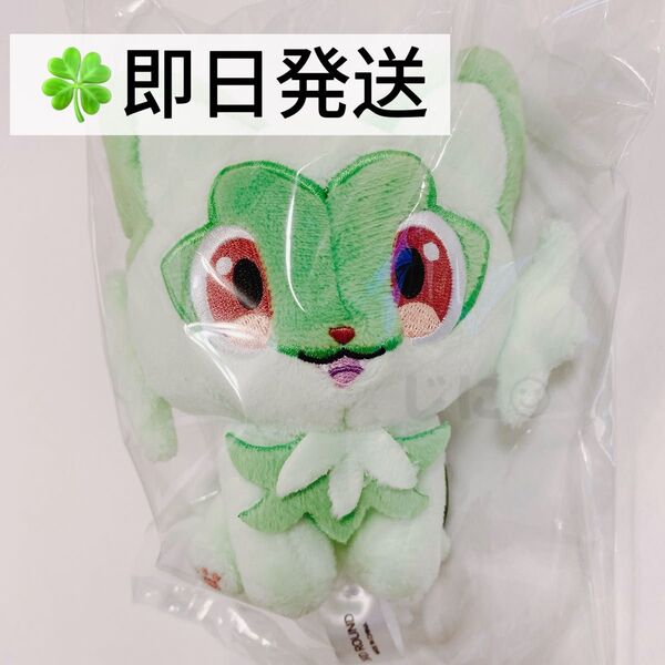 【韓国限定】【即日発送】ポケモン ニャオハ ぬいぐるみキーホルダー キーリング