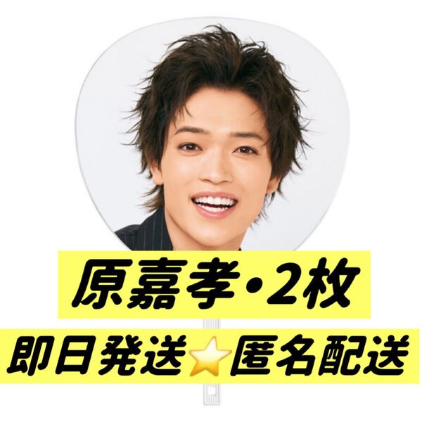We're timelesz LIVE TOUR 2025 episode 1 ~FAM~ 原嘉孝 ジャンボうちわ 2枚