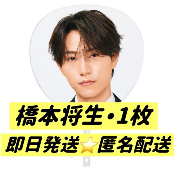 We're timelesz LIVE TOUR 2025 episode 1 ~FAM~ 橋本将生 ジャンボうちわ 1枚