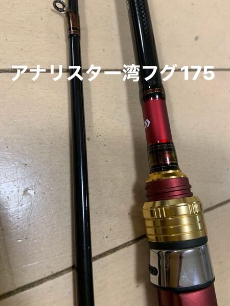 アナリスター湾フグ175