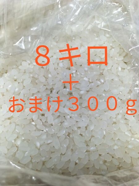 令和6年産 広島県産 8キロ+おまけ300g 隙間にカレー缶3つおまけ
