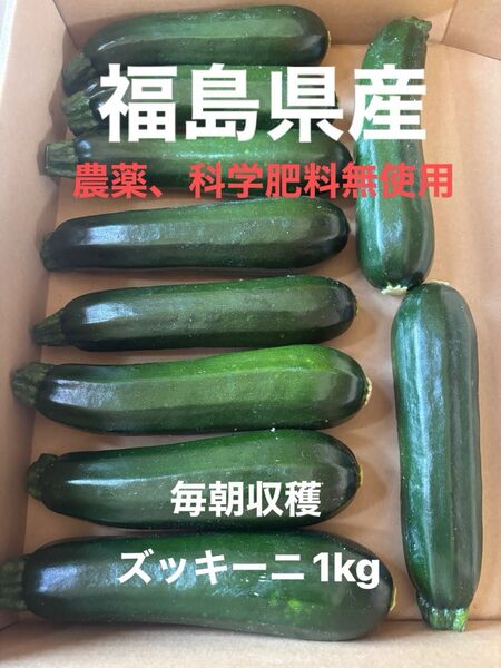 福島県産 ズッキーニ 1kg 農薬・化学肥料不使用