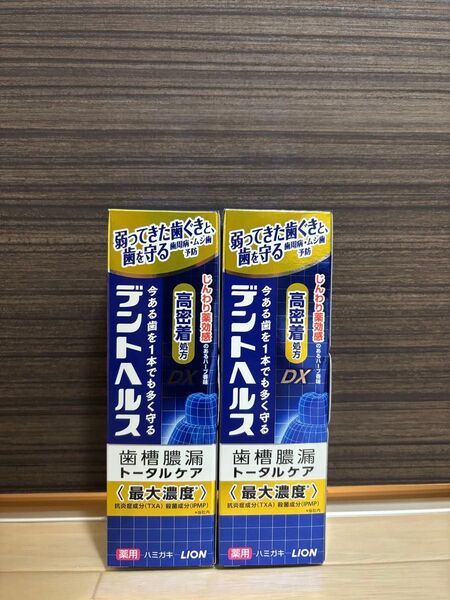 ライオン デントヘルス 薬用歯磨き粉 DX 85g 2個