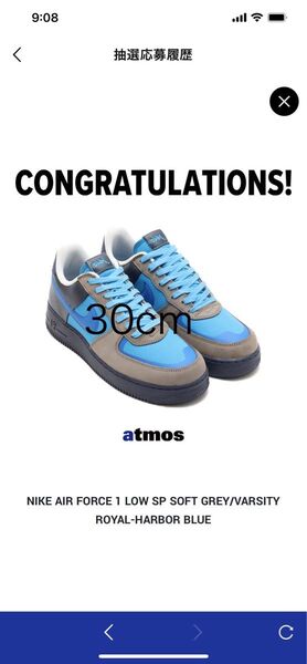 Stash × NIKE AIR FORCE 1 LOW SP 30cm
