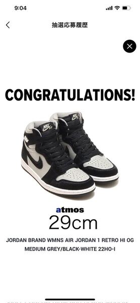 21時迄の購入で即日発送 NIKE ナイキ WMNS エアジョーダン1 ハイ OG ミディアムグレー JORDAN1 29cm