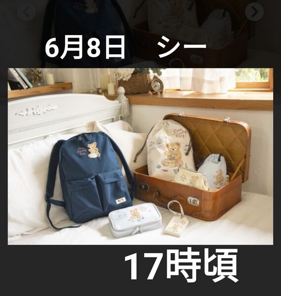 ② 6月8日 東京ディズニーシー ミニ封筒付 海 チケット 入園済み ショッピング枠 オンライン枠 グッズ購入 使用済みチケット