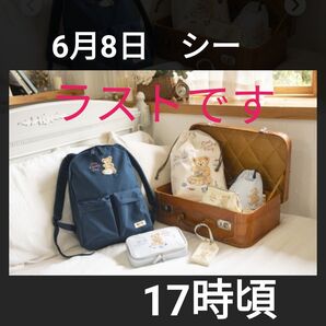 ③ 6月8日 東京ディズニーシー ミニ封筒付 海 チケット 入園済み ショッピング枠 オンライン枠 グッズ購入 使用済みチケット