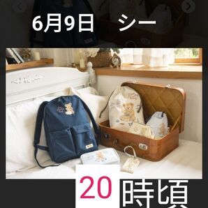 ① 6月9日 ディズニーシー ミニ封筒付 入園済み ショッピング枠 オンライン枠 グッズ購入 使用済みチケット 使用済チケット