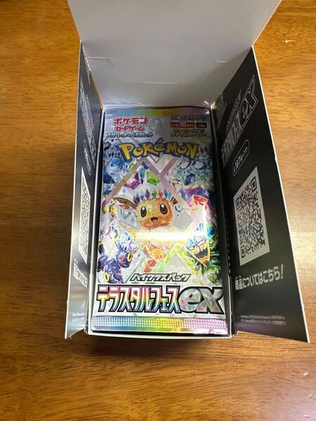 テラスタルフェスex サーチ済み 1box(10パック)