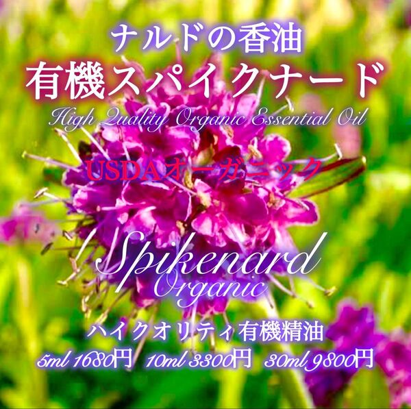 【ナルドの香油】有機(USDAオーガニック)スパイクナード精油5ml