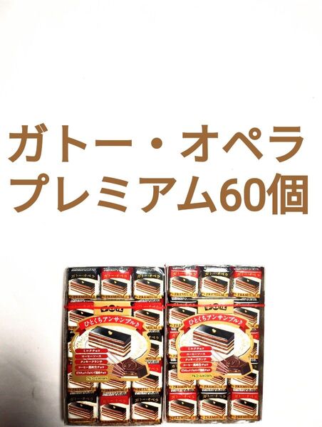 ●2箱60個入●ガトー・オペラ プレミアム●チロルチョコ●アウトレット●松尾製菓●