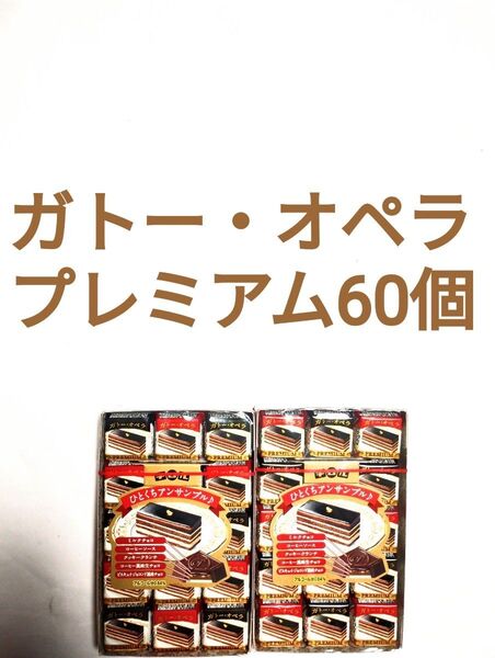 ●2箱60個入●ガトー・オペラ プレミアム●チロルチョコ●アウトレット●松尾製菓●