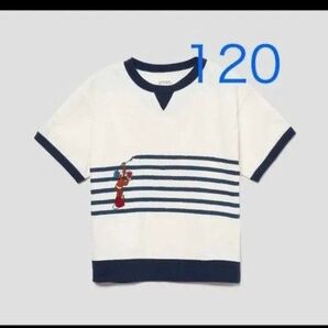 完売 グラニフ おさるのジョージ ペイント ボーダー キッズリブTシャツ 120 タグ付き 新品 graniph 半袖