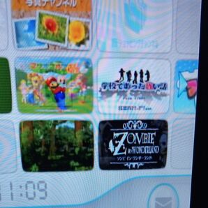 難あり Wii 本体のみ 内蔵ソフトあり 動作確認済み 除菌清掃