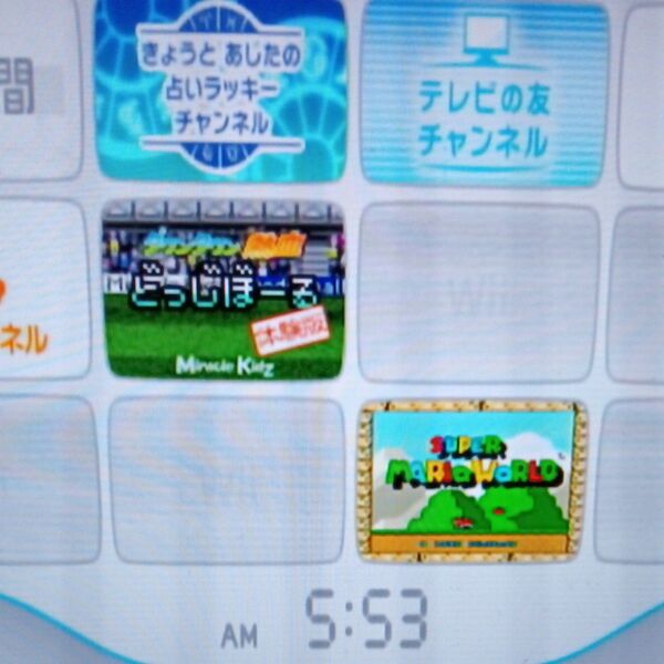 難あり Wii 本体のみ 内蔵ソフトあり 除菌清掃 動作確認済み
