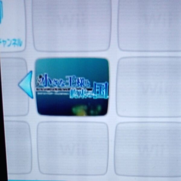 Wii 本体のみ 内蔵ソフトあり 動作確認済み 除菌清掃