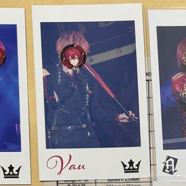KnightA 騎士A ばぁうくん ばぁう フォトカ フォトカード