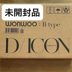 SEVENTEEN DICON Wonwoo Btype ウォヌ 写真集 未開封品