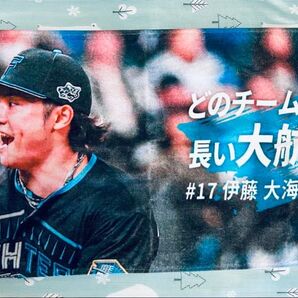 伊藤大海 フェイスタオル 日ハム