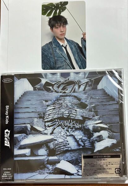 straykidsスキズGIANT dominATE エコパ トレカ スンミン※未開封GIANT通常盤1枚おまけ