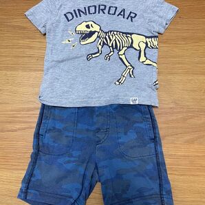 80センチ 上下セット Tシャツ ハーフパンツ