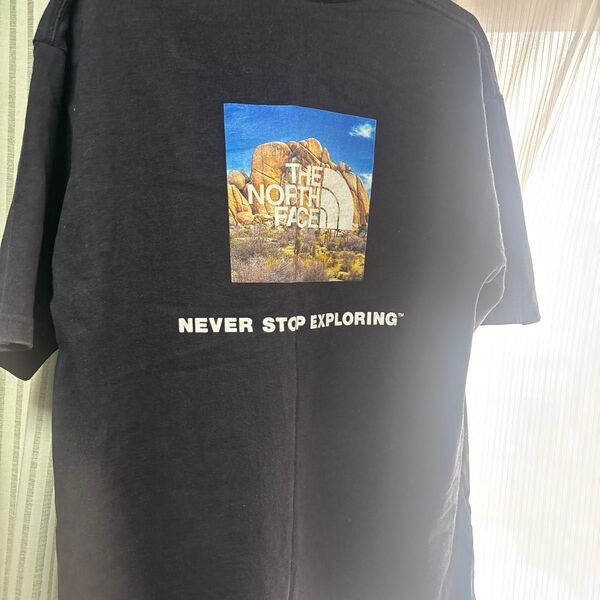 THE NORTH FACE スクエアロゴ JOSHUA TREE TEE L Tシャツ