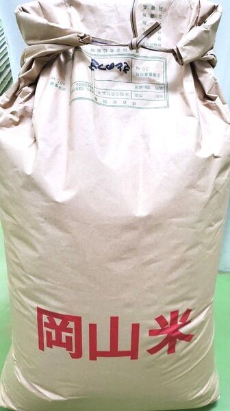 粘りが強くモチモチ柔らか食感 令和6年産特別栽培米さとのつき玄米 10kg