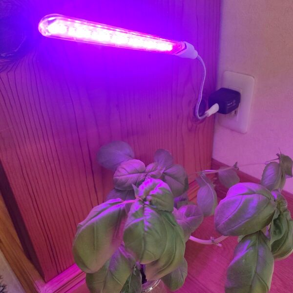 植物育成LEDランプ.フレキシブルケーブル付