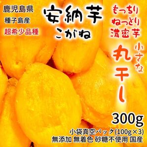 干し芋 安納芋 こがね 丸干し 無添加 無着色 砂糖不使用 国産 希少品種 鹿児島県 種子島産 残りわずか