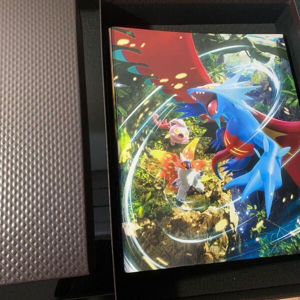 ポケモンカードゲームSV ファイリング専用版&コレクションファイルプレミアム(希少限定品) sar他プロモカードまとめ売り