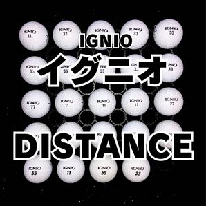 1 イグニオ DISTANCE ロストボール24球