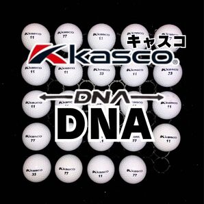 6 キャスコ DNA ロストボール24球