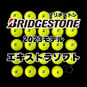1 2023モデル ブリヂストン エキストラソフト 他 ロストボール24球