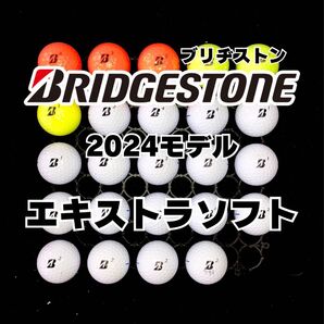 1 2024モデル ブリヂストン エキストラソフト ロストボール 24球