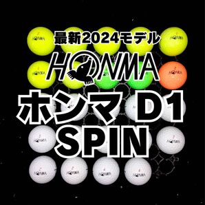 0 最新2024モデル ホンマD1 SPIN ロストボール24球