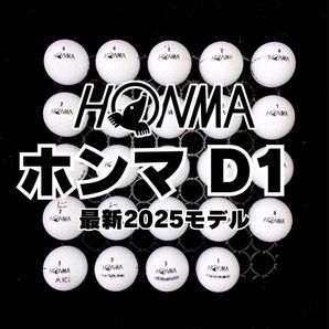 133 最新2024モデル ホンマD1 ロストボール24球