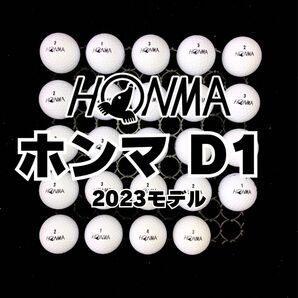 142 2023モデル ホンマD1 ロストボール24球