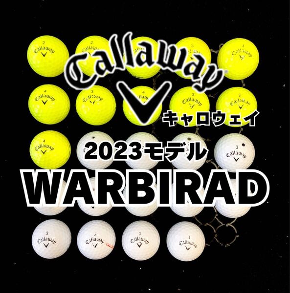 0 2023モデル キャロウェイ WARBIRD 他 24球ロストボール