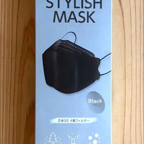 STYLISH MASK ブラック 10枚入り 黒色 立体3Dマスク