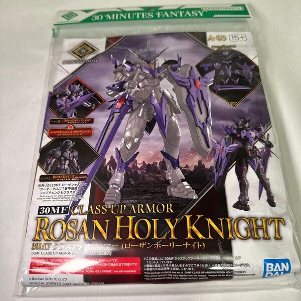 30MF クラスアップアーマー ローザンホーリーナイト