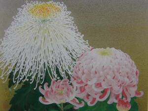Art hand Auction 森田理惠子, 秋季花卉, 极其罕见的框架板, 包含新框架, 已含邮费, 亚法, 绘画, 油画, 自然, 山水画