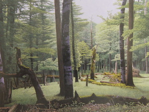 本松進一、【大台ヶ原の樹林】、希少な額装用画集より、新品額装付、状態良好、送料込み、日本人画家