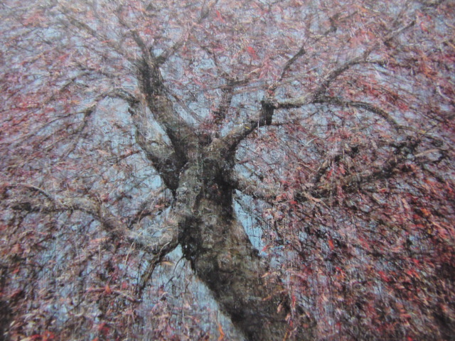 Hori-Labor, [Sakura Momiji (Kanbara-Trauerkirschblüten – Herbst)], Aus einer seltenen Sammlung von Rahmenkunst, Neuer Rahmen inklusive, In guter Kondition, Porto inklusive, Japanischer Maler, Malerei, Ölgemälde, Natur, Landschaftsmalerei