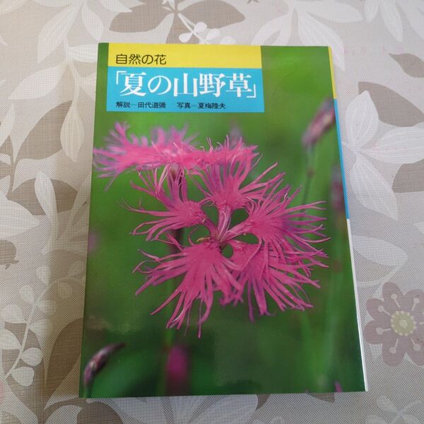 自然の花 夏の山野草